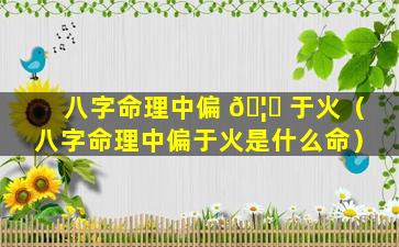 八字命理中偏 🦋 于火（八字命理中偏于火是什么命）